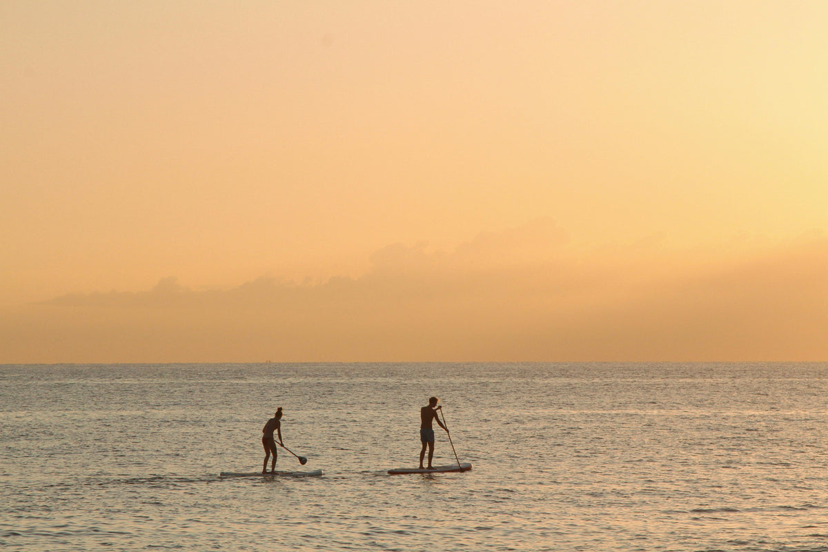 South Wales' Best Kept Secret: Paddleboarding Paradises